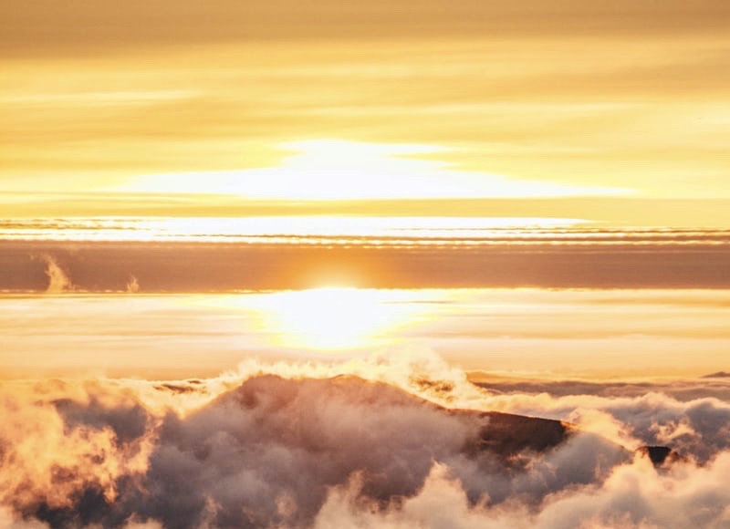 Les Règles d’Or de l’Alimentation selon&nbsp;l’Ayurveda